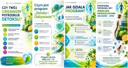 Ulotka DETOX DL zig zag